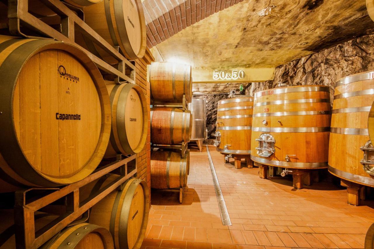 Capannelle Wine Resort Gaiole in Chianti Εξωτερικό φωτογραφία