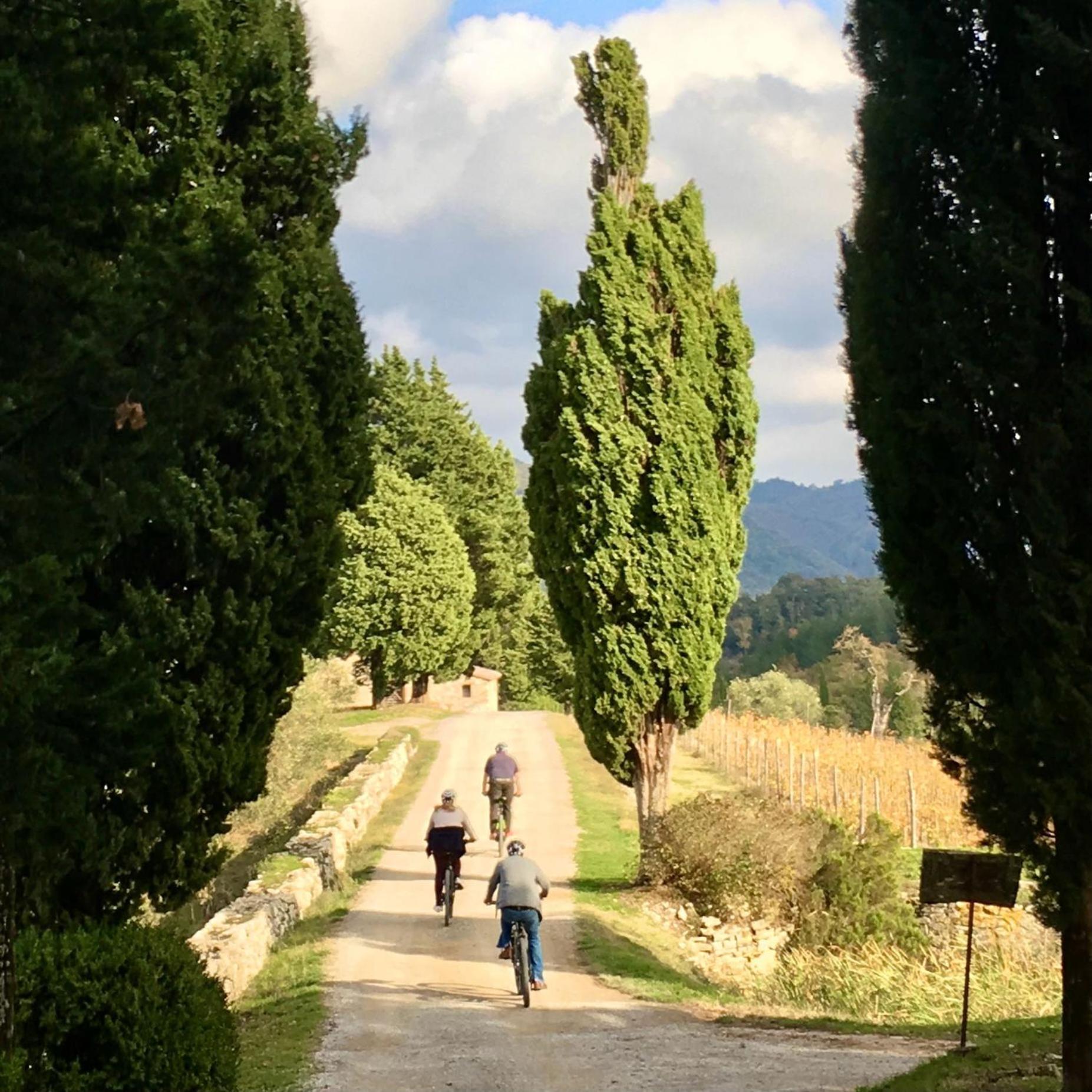Capannelle Wine Resort Gaiole in Chianti Εξωτερικό φωτογραφία