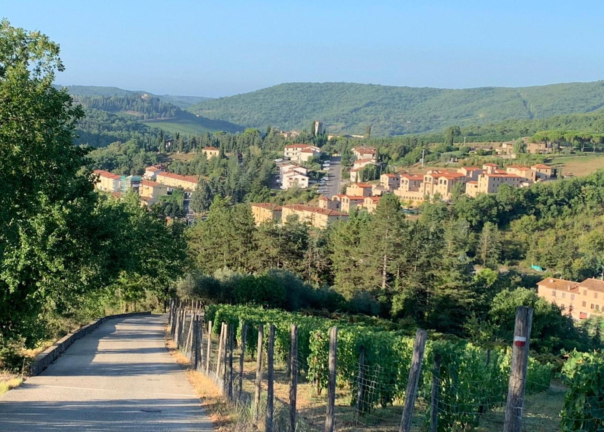 Capannelle Wine Resort Gaiole in Chianti Εξωτερικό φωτογραφία